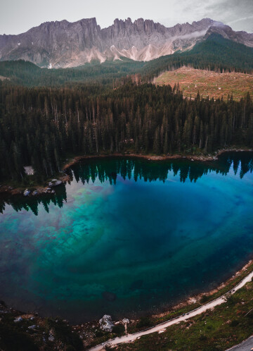 vertical-shot-lake-carezza-surrounded-by-dolomites-greenery-south-tyrol-italy.jpg