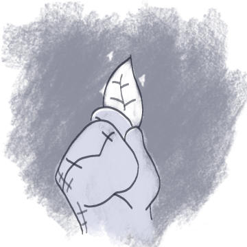 Img1.png