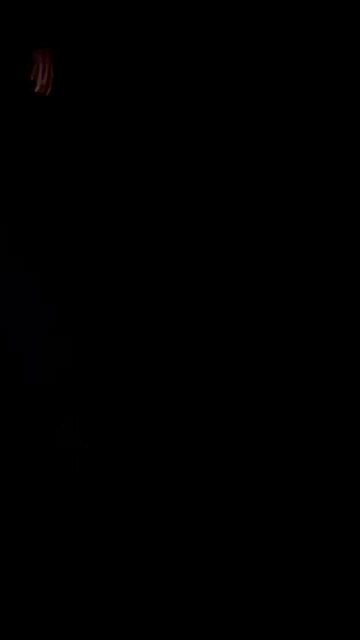 11.mp4