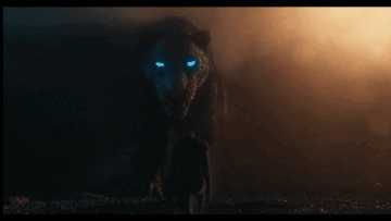 GIF_20260812_074605_317.gif