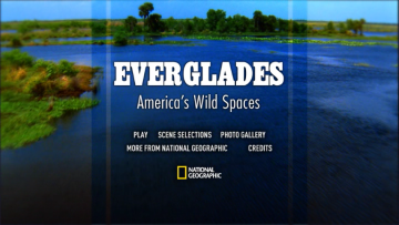 VIDEO_TS-00_00_24.png