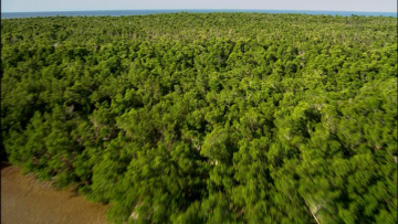 VIDEO_TS-00_01_47.png