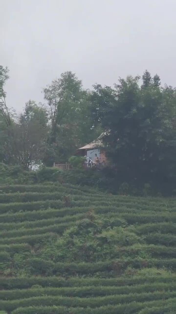 video_2026-10-30_18-27-22.mp4